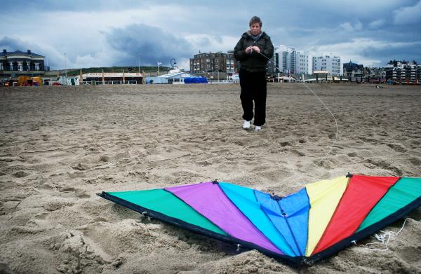 Flying kite