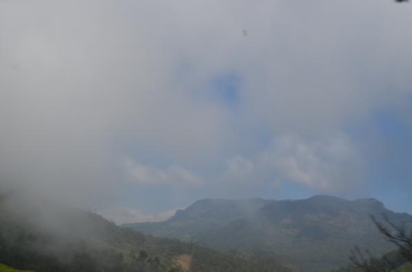 Fog