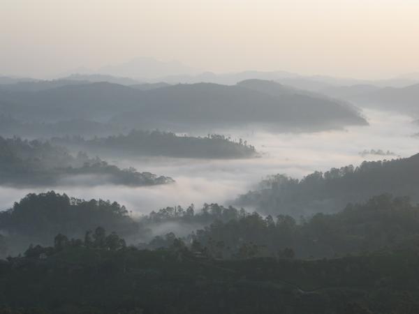 Fog