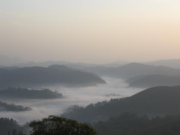 Fog