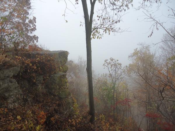 Fog View from Bluff