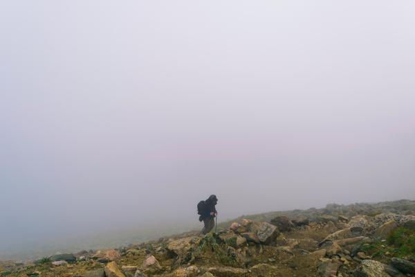 Foggy