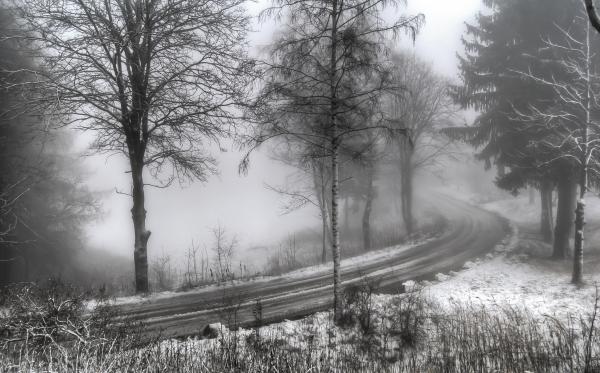 Foggy
