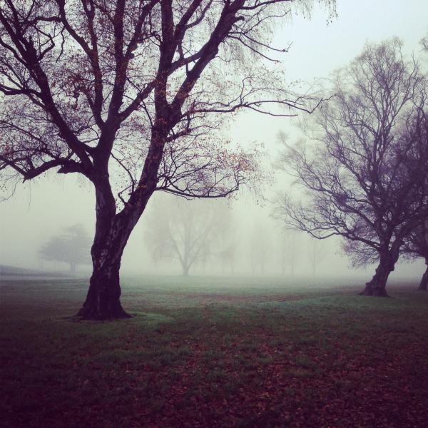 Foggy