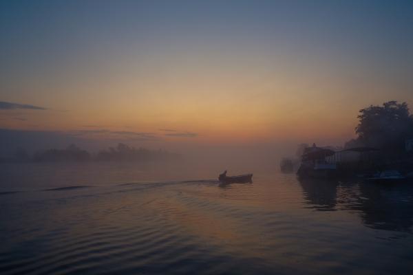 Foggy