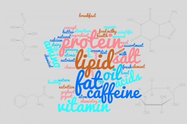 Food components word cloud