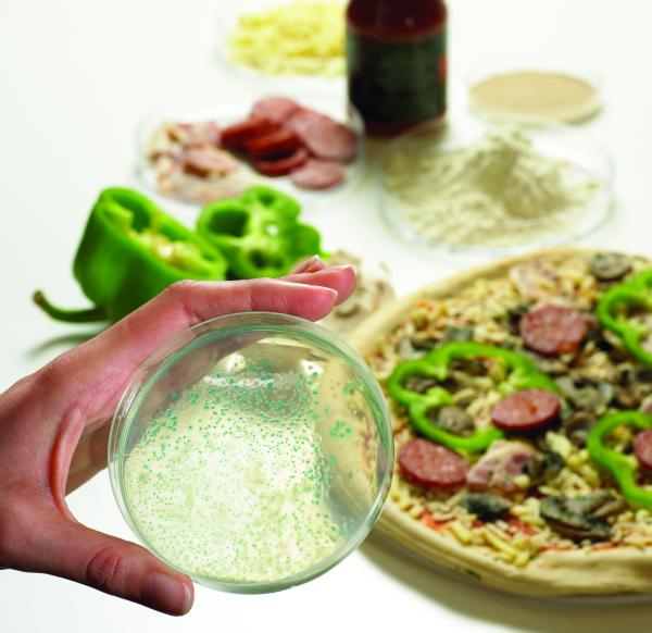 Food Microbiology