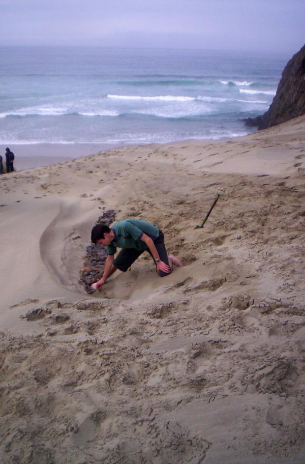 Footpath in the sand