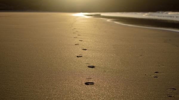 Footprints in sand