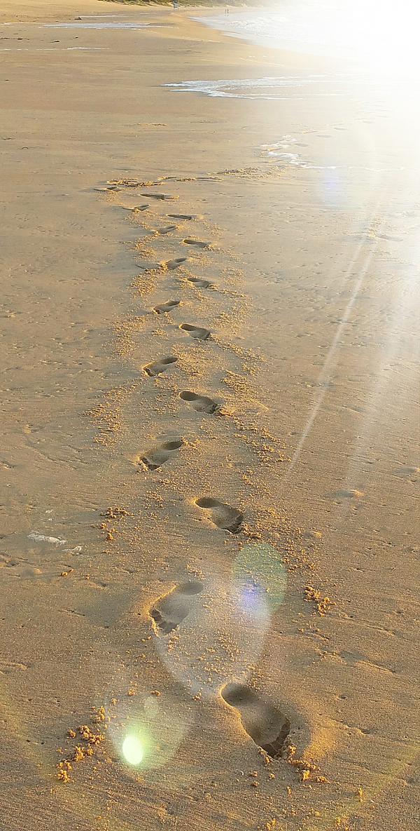 Footprints in the sand