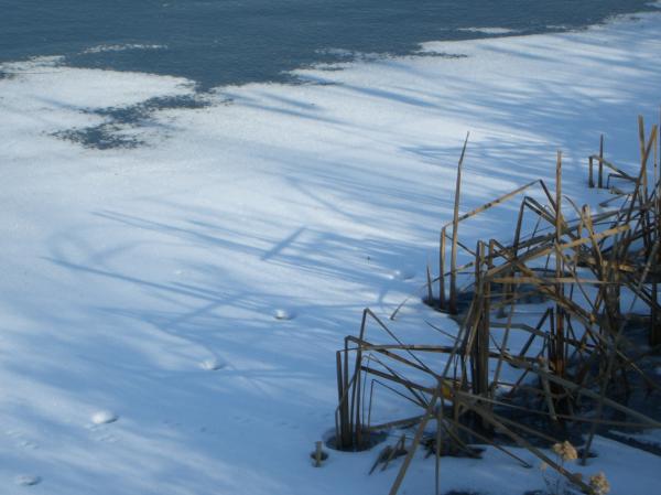 Footprints in the snow