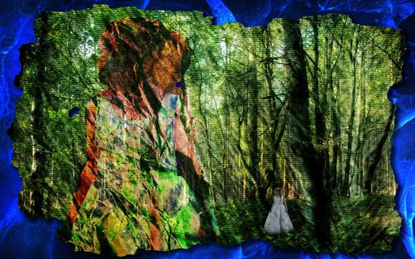 Forest collage
