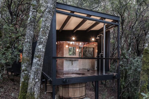 Forest House