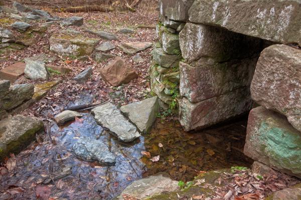 Forest Ruins - HDR