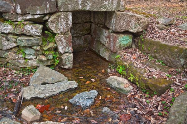 Forest Ruins - HDR