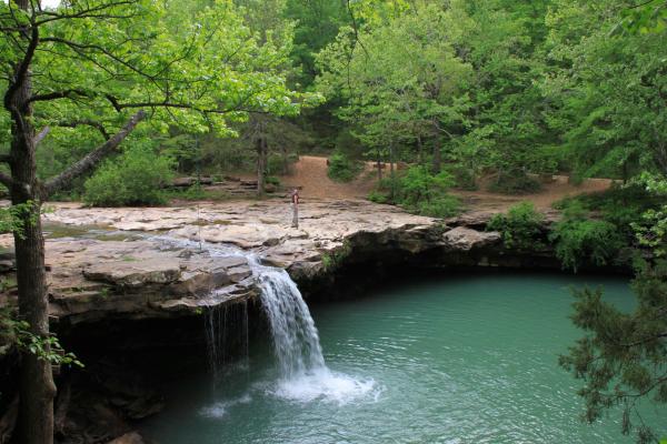 Forest Water Falls