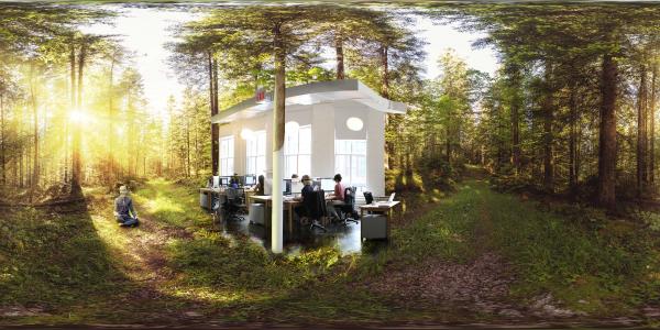 Forest Workplace