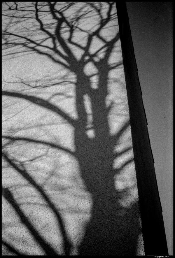 Forms and shadows