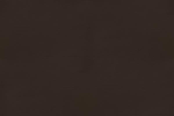 Forpart Leather