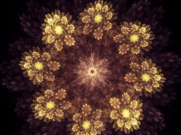 Fractal flower