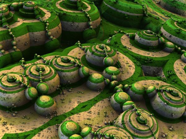 Fractal garden