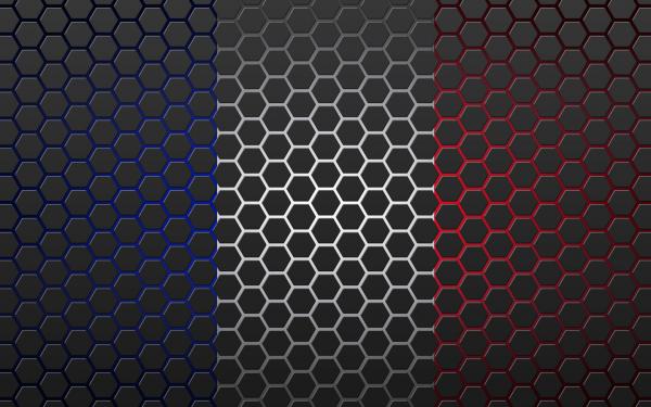 France flag in hex