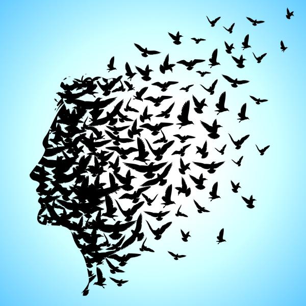 Freedom