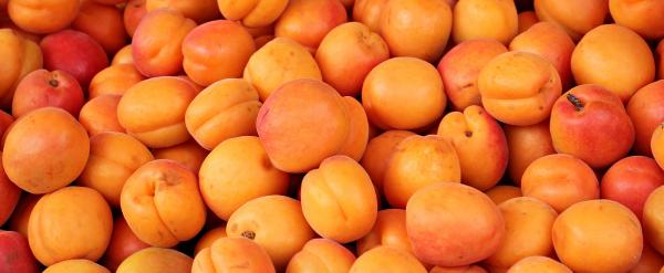 Fresh Apricots
