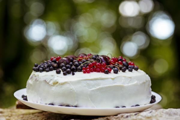Fresh berry cake