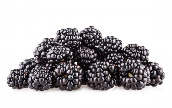 Fresh blackberry isolated on white
