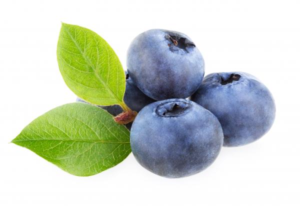 Fresh blueberries
