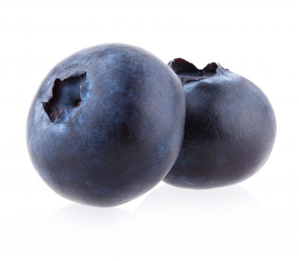 Fresh blueberries