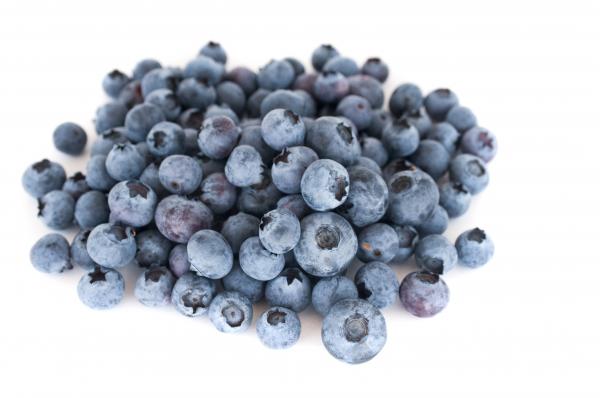 Fresh Blueberries