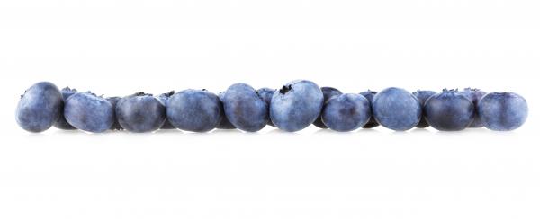 Fresh blueberries