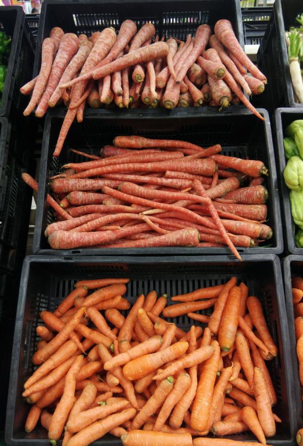 Fresh Carrots
