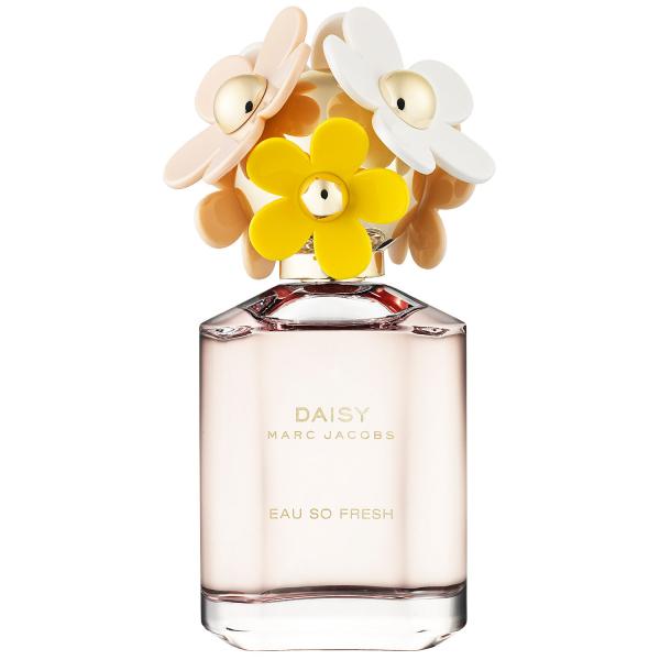 Fresh Daisy