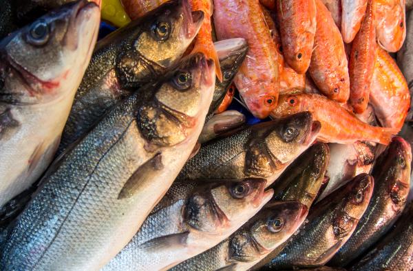Fresh fish in a market