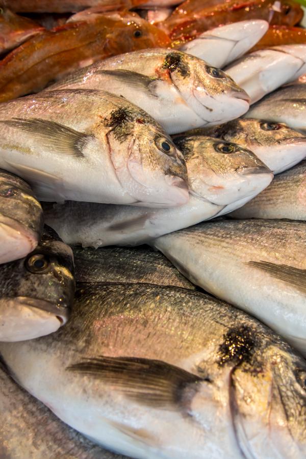 Fresh fishes in a market