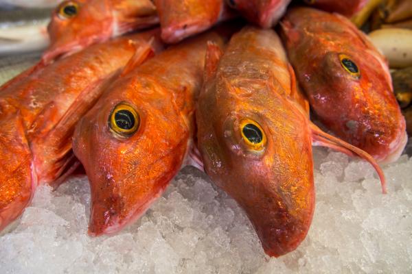 Fresh fishes in a market