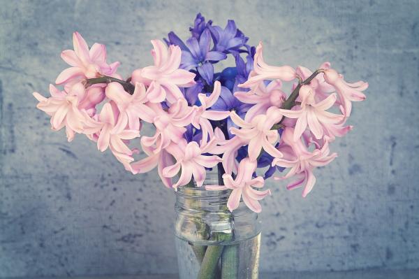 Fresh Flowers