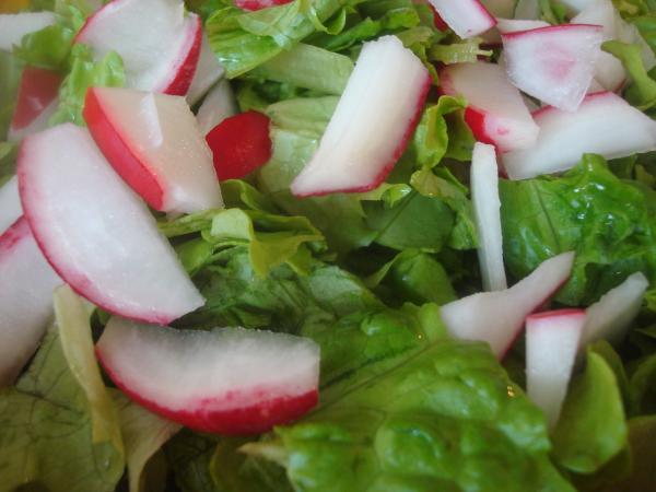 Fresh green salad with radish