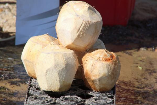 Fresh natural coconut drink