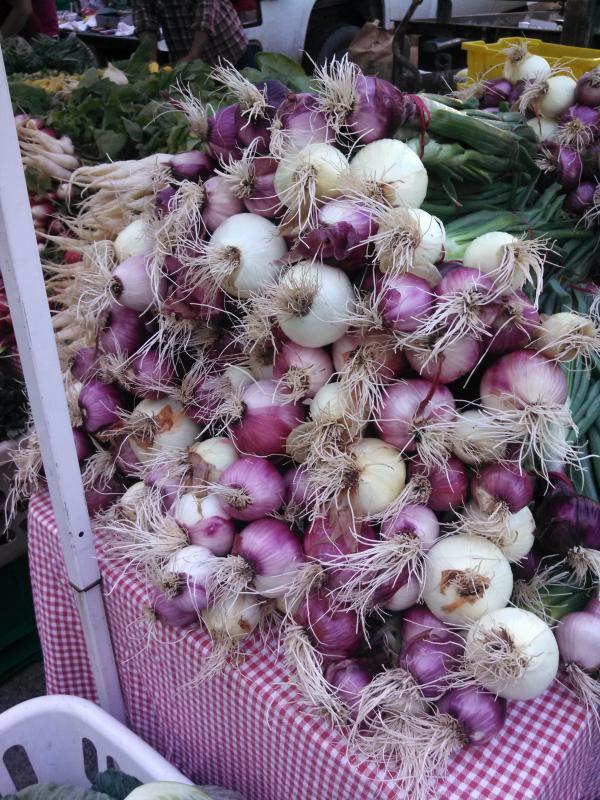 Fresh Onions