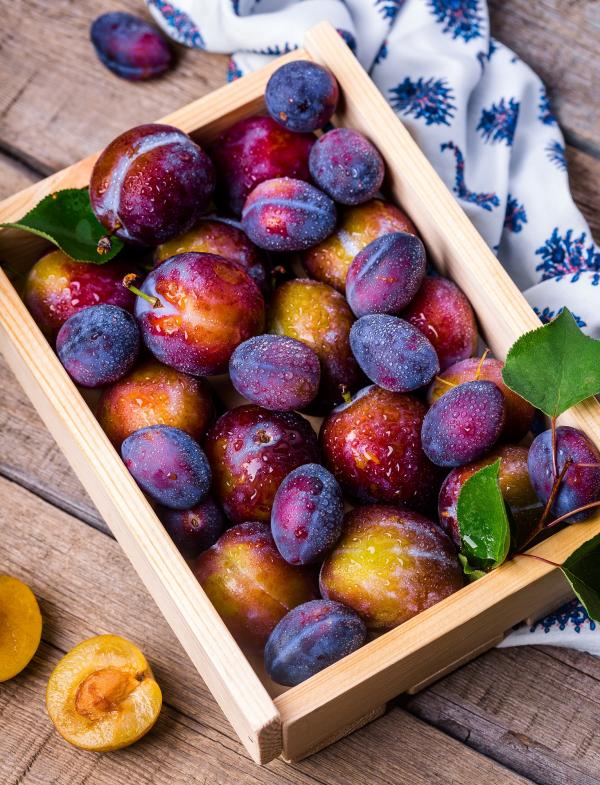 Fresh Plum