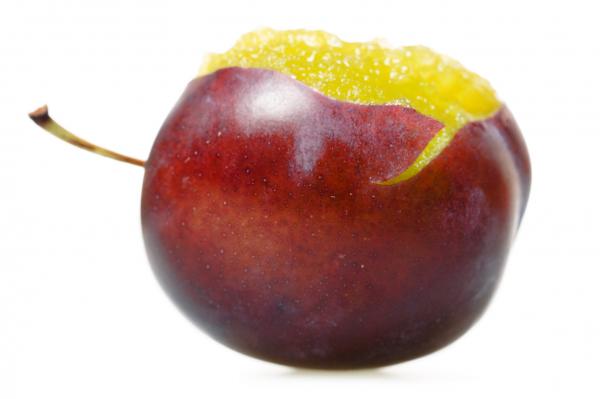 Fresh Plum