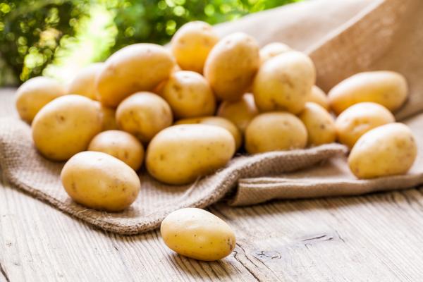 Fresh Potatoes