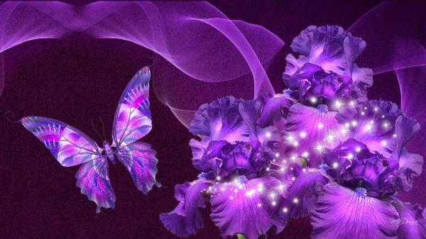 Fresh Purple Flowers