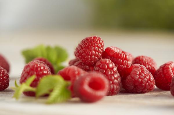 Fresh Raspberries
