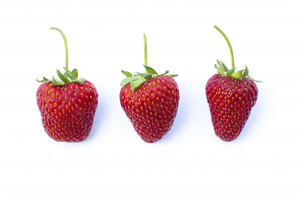 Fresh Strawberries