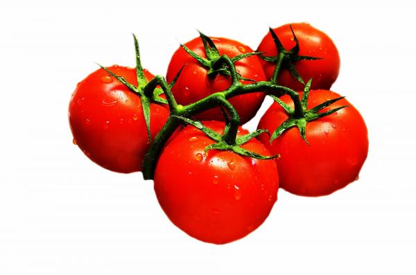 Fresh Tomatoes